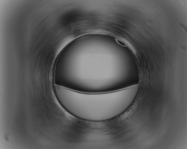 X0000093431007200710120913