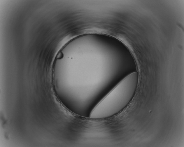 X0000093431008200710120913