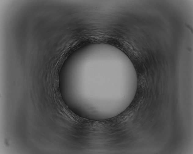 X0000093431009200710120913