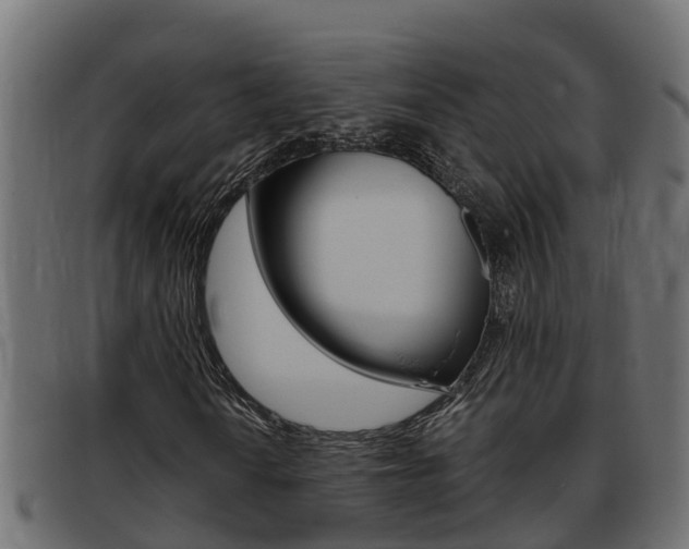 X0000093431010200710120913