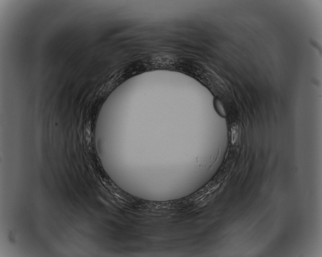 X0000093431011200710120913