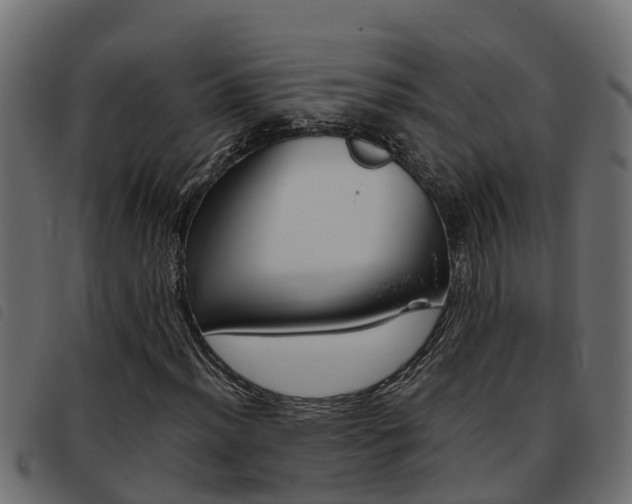X0000093431012200710120913