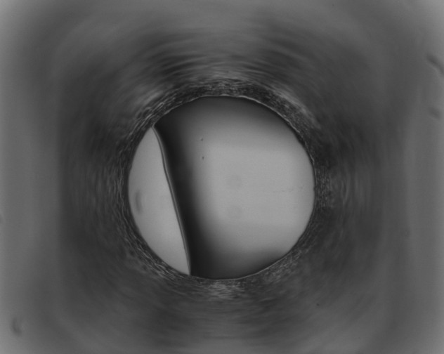 X0000093431013200710120913