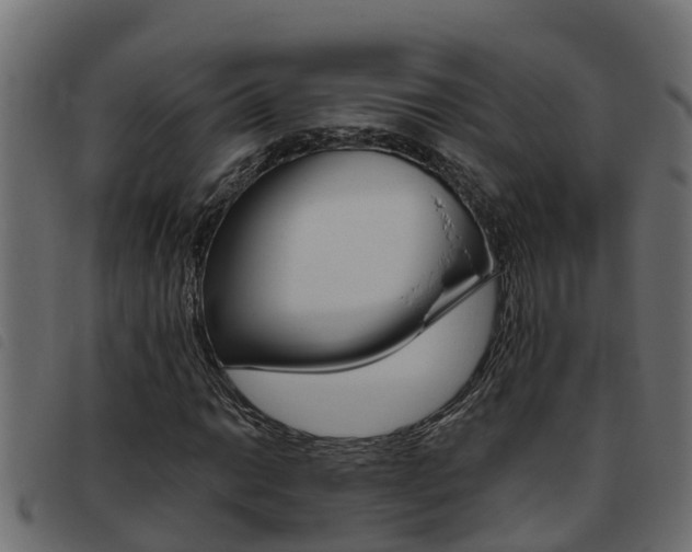 X0000093431014200710120913