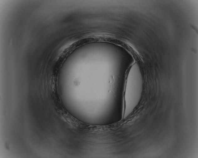 X0000093431016200710120913