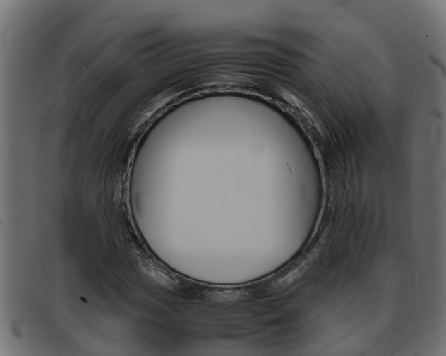 X0000093431017200710120913