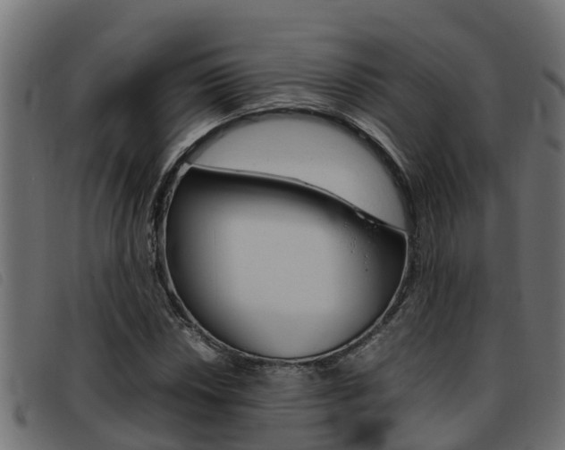 X0000093431018200710120913