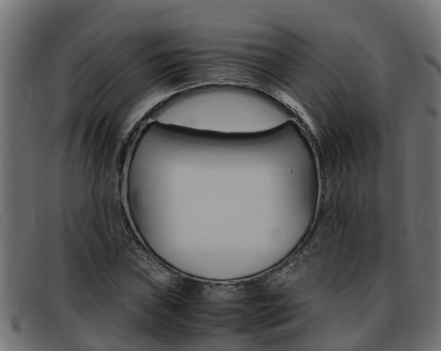 X0000093431019200710120913