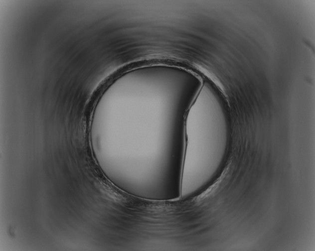 X0000093431021200710120913