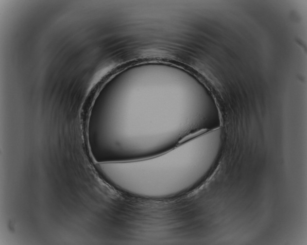 X0000093431022200710120913