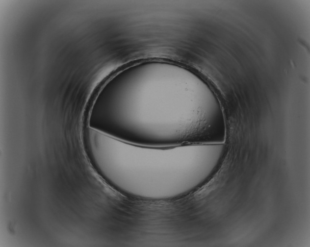 X0000093431024200710120913