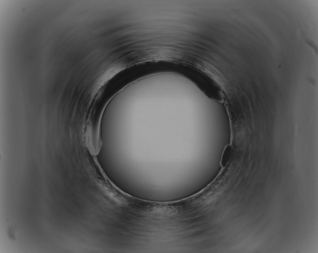 X0000093431026200710120913