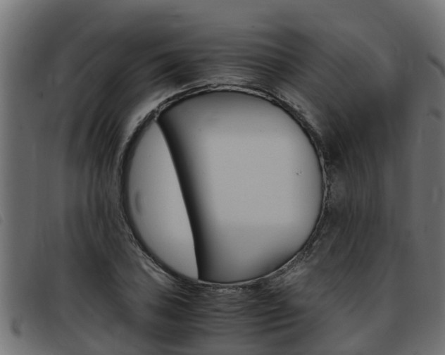 X0000093431027200710120913