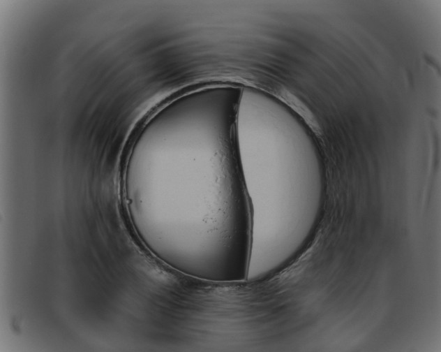X0000093431028200710120913