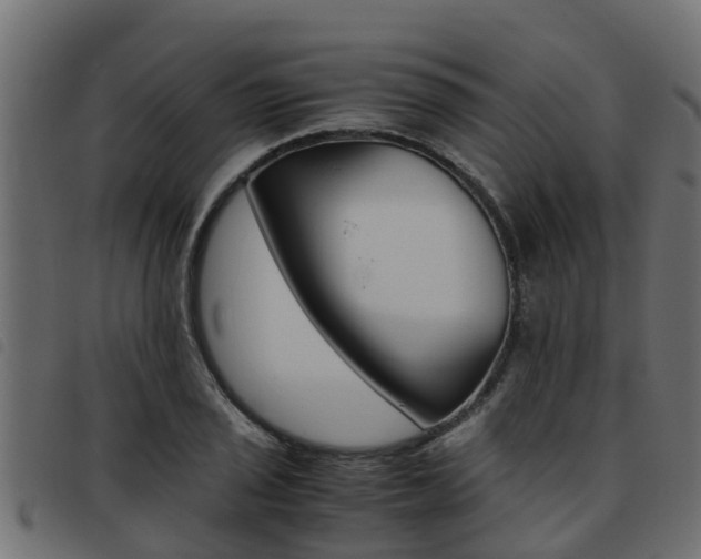 X0000093431029200710120913