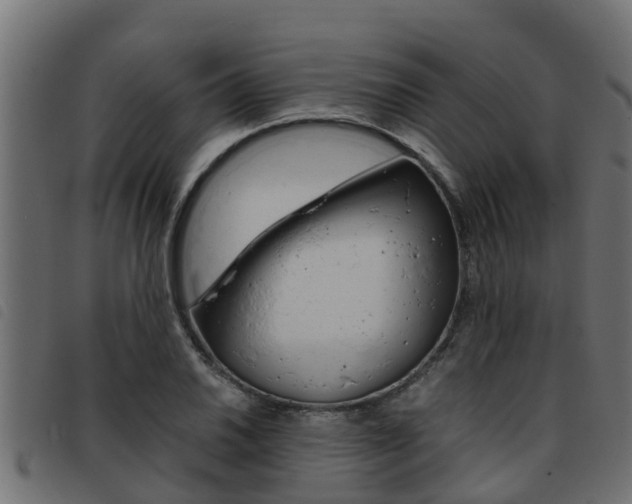 X0000093431030200710120913