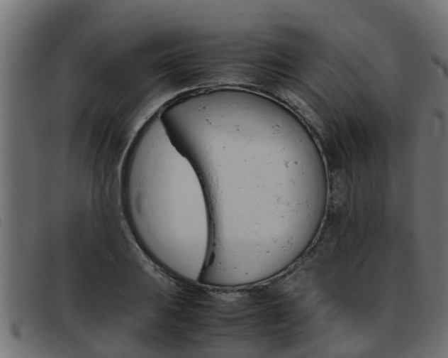 X0000093431031200710120913