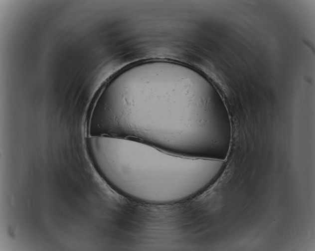 X0000093431032200710120913