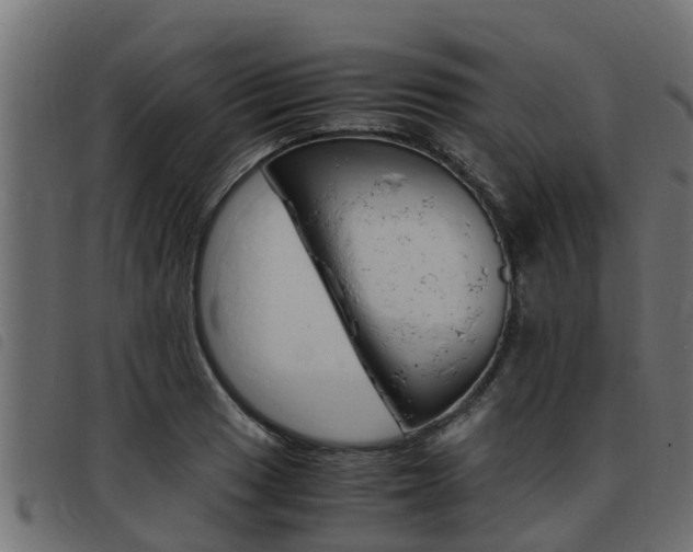 X0000093431033200710120913