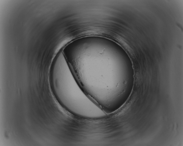 X0000093431034200710120913