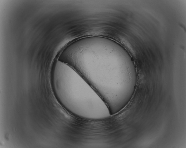 X0000093431035200710120913