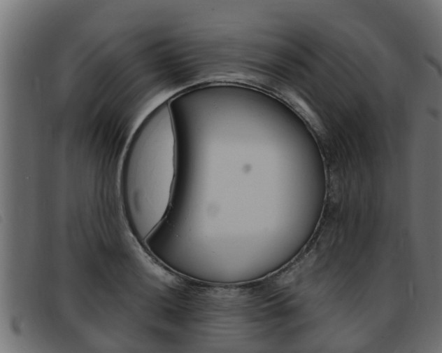 X0000093431036200710120913