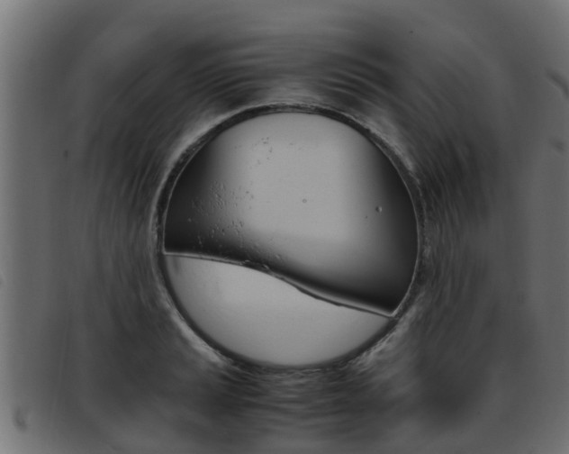 X0000093431037200710120913