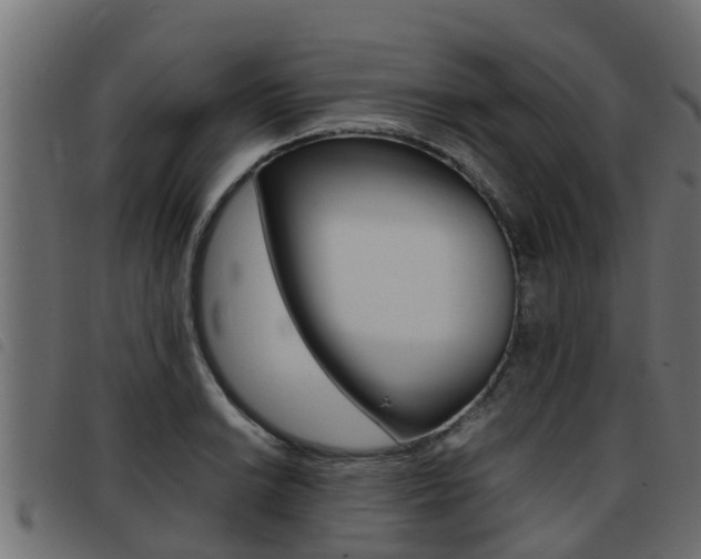 X0000093431038200710120913