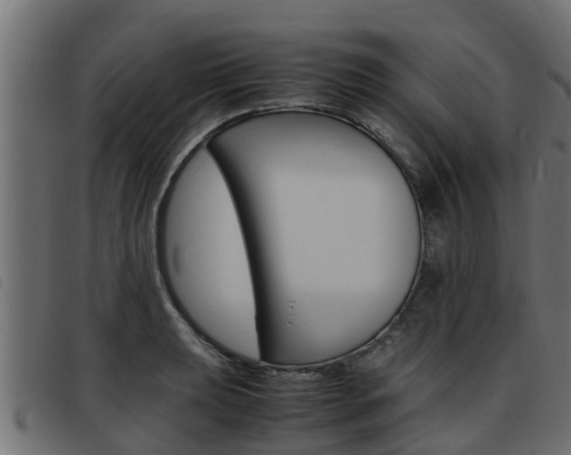 X0000093431039200710120913