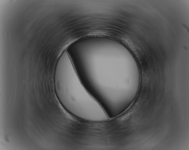 X0000093431041200710120913