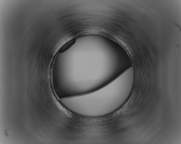 X0000093431042200710120913