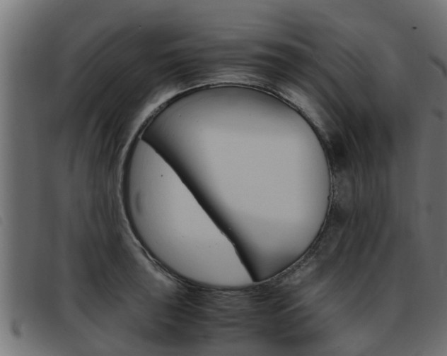 X0000093431043200710120913
