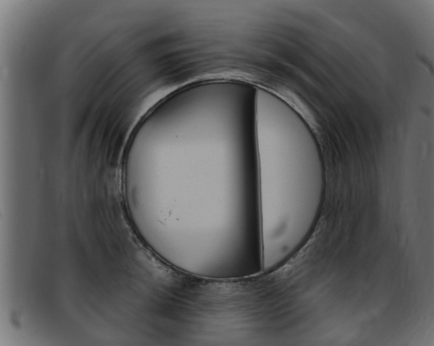 X0000093431044200710120913