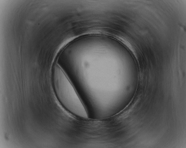 X0000093431045200710120913