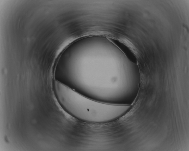 X0000093431046200710120913