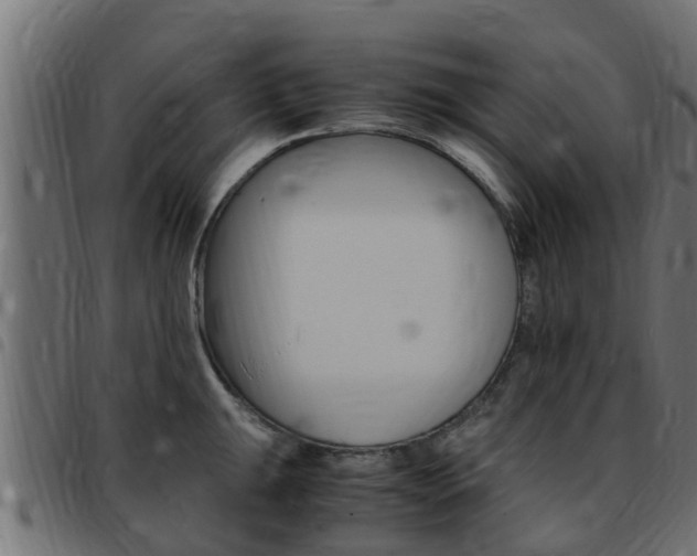 X0000093431047200710120913