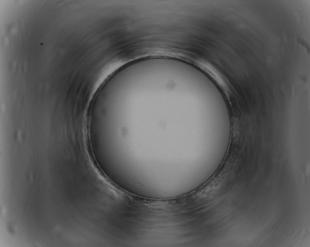 X0000093431048200710120913