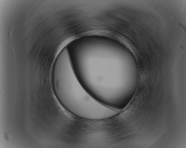X0000093431050200710120913