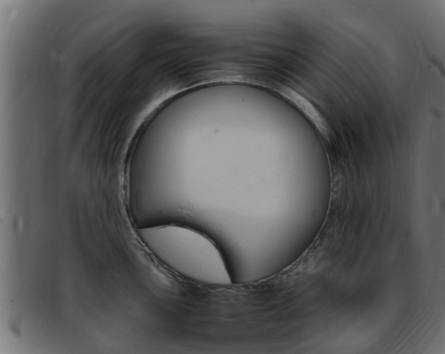 X0000093431051200710120913