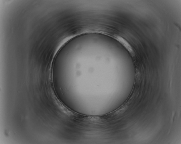 X0000093431052200710120913