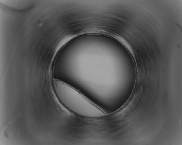X0000093431053200710120913