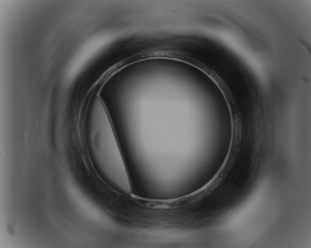 X0000093431054200710120913