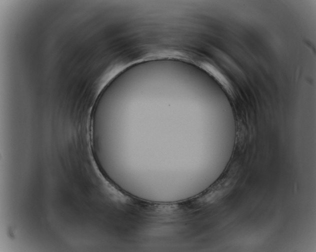 X0000093431055200710120913