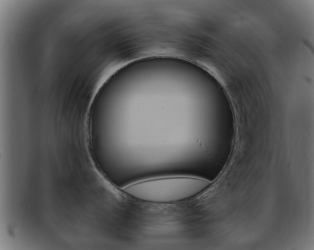X0000093431056200710120913