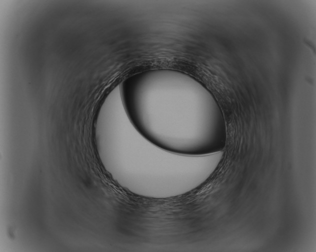 X0000093431057200710120913