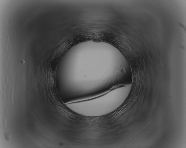 X0000093431058200710120913