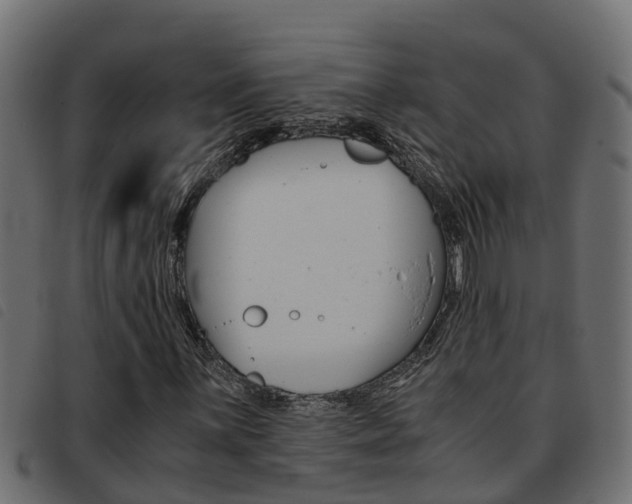 X0000093431059200710120913