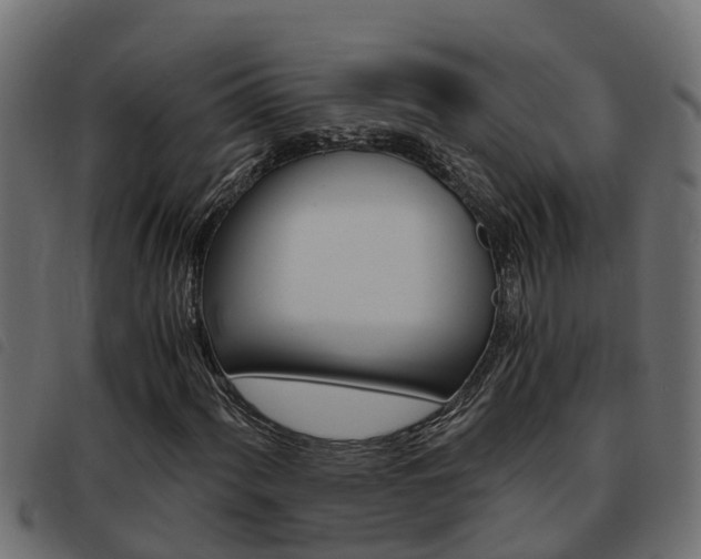 X0000093431060200710120913