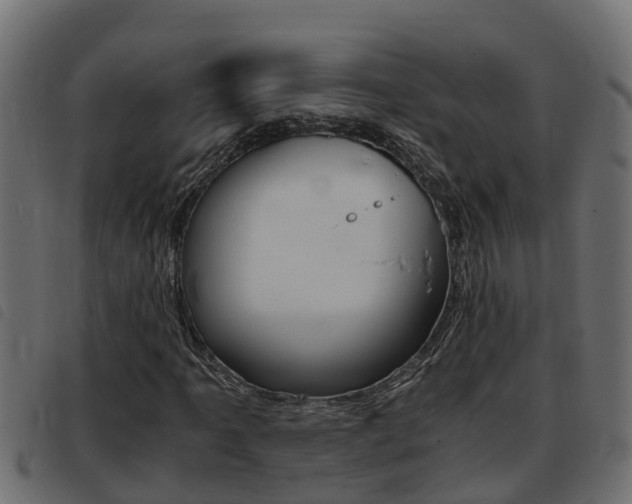 X0000093431061200710120913