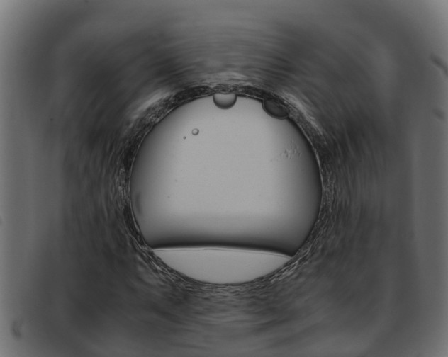 X0000093431063200710120913